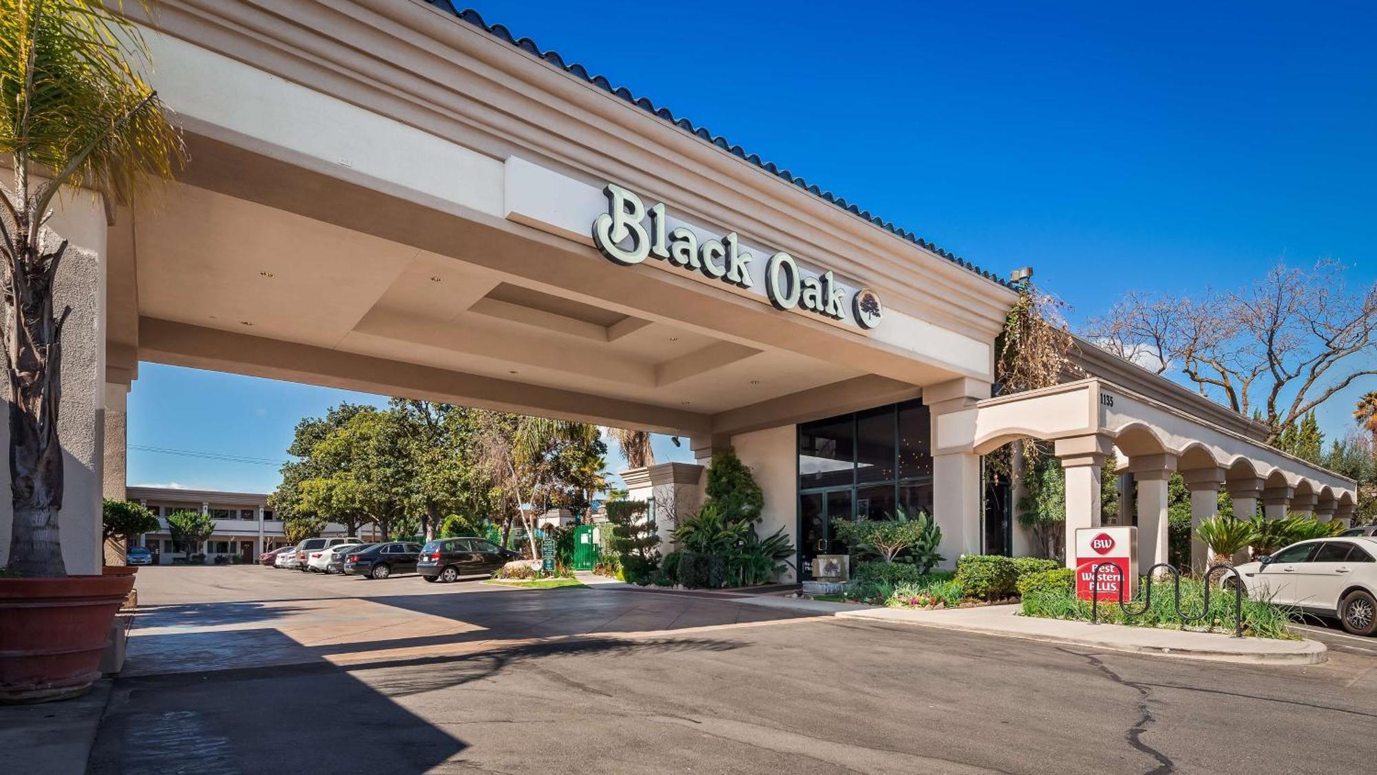 Best Western Plus Black Oak Paso Robles Zewnętrze zdjęcie